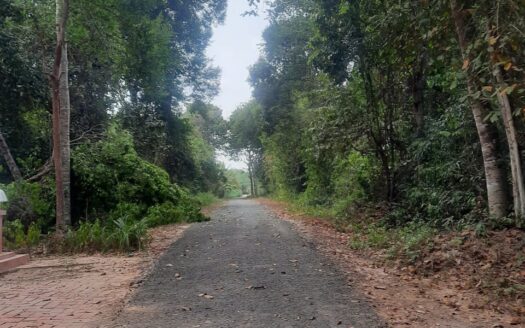 1.205 ha Dự án Du lịch sinh thái nghỉ dưỡng, phát triển rừng và trồng dược liệu dưới tán rừng, kết hợp trồng nông sản công nghệ cao