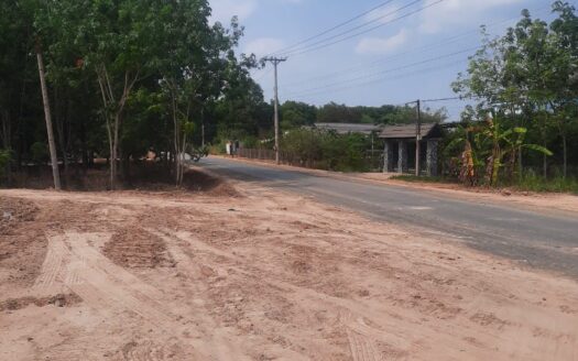 1.205 ha Dự án Du lịch sinh thái nghỉ dưỡng, phát triển rừng và trồng dược liệu dưới tán rừng, kết hợp trồng nông sản công nghệ cao